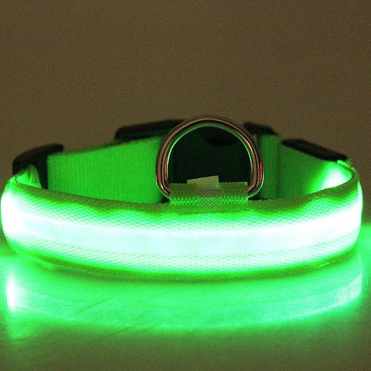 Rechargeable LED dog collar light-up night safety collar for walks
